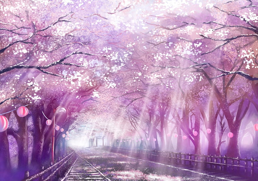 Kirschblüten monorisu ursprünglicher szenischer Baum der Blumenblätter - Konachan, Anime-Baum HD-Hintergrundbild