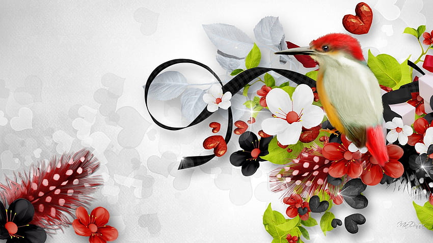 โลกของสิ่งมหัศจรรย์ ขนนก นก ริบบิ้น ฤดูใบไม้ผลิ ฤดูร้อน สดใส หัวใจ ธรรมชาติ ดอกไม้ วอลล์เปเปอร์ HD