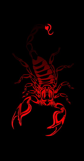Scorpion Wallpapers - Wallpaperforu