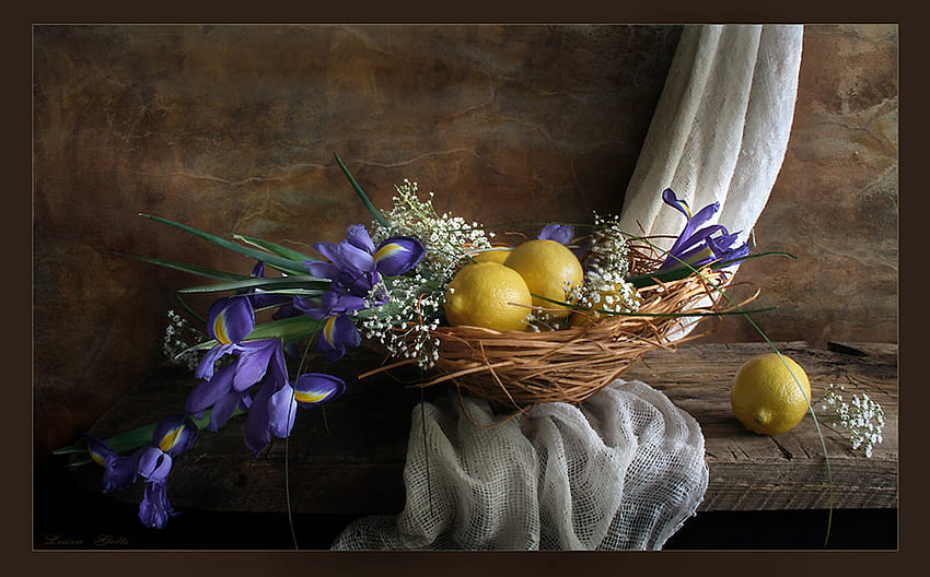 still life, iris, bouquet, gentle, graphy, beauty, nice, flower, lemon, fruit, irises, , elegantly, beautiful, old, pretty, cool, flowers, lovely, harmony HD wallpaper