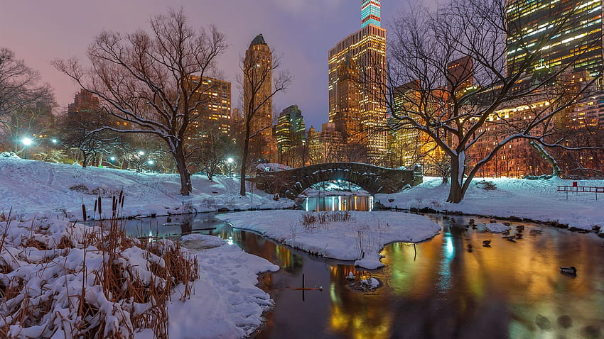 Nueva York, Central Park, nieve, árboles, río, rascacielos, luces, EE. UU., Nueva York Invierno fondo de pantalla