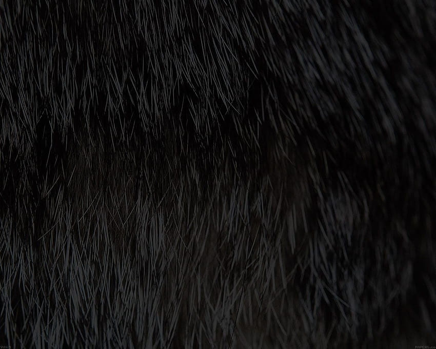 Cat Fur Rawrdis Black Pattern, Sony Black HD wallpaper