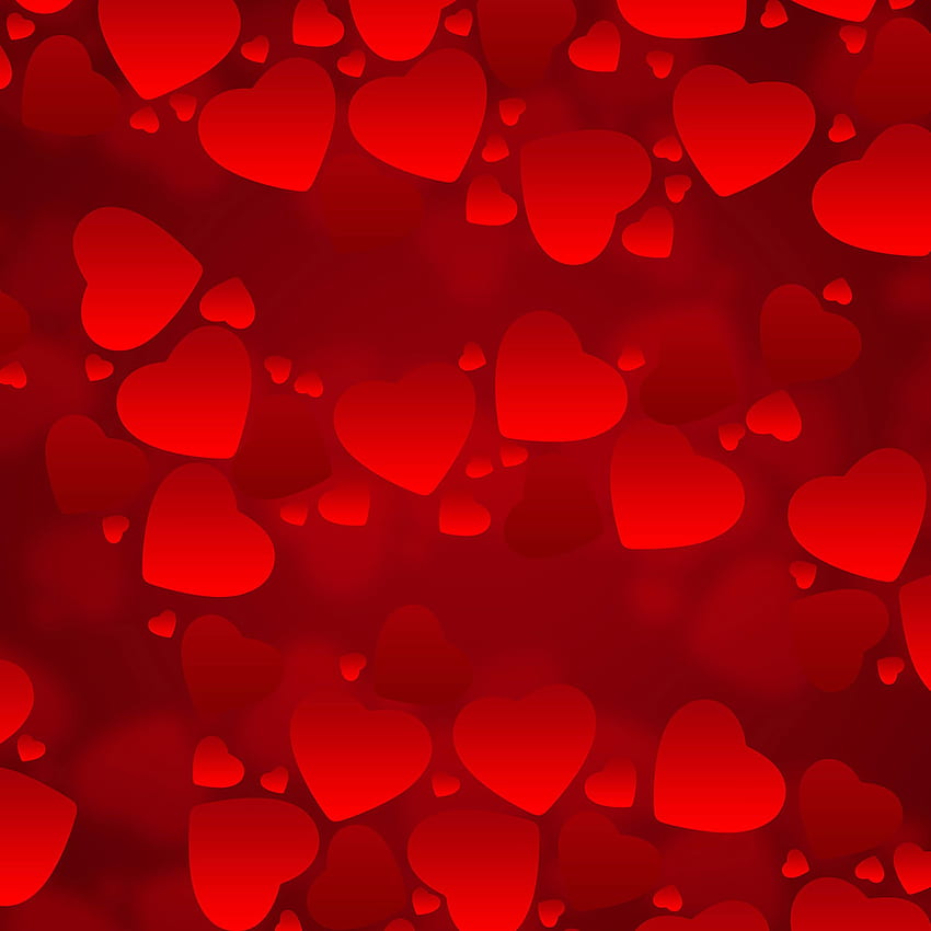 Valentine's Day iPad, Valentine Heart HD phone wallpaper | Pxfuel