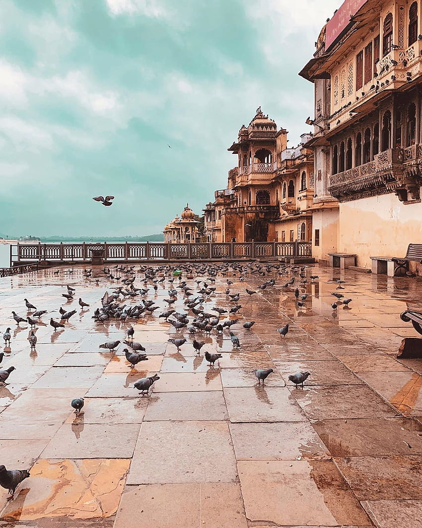 Udaipur, Radżastan - Indie Podróże. Podróże po Indiach, grafika podróży, podróże Tapeta na telefon HD