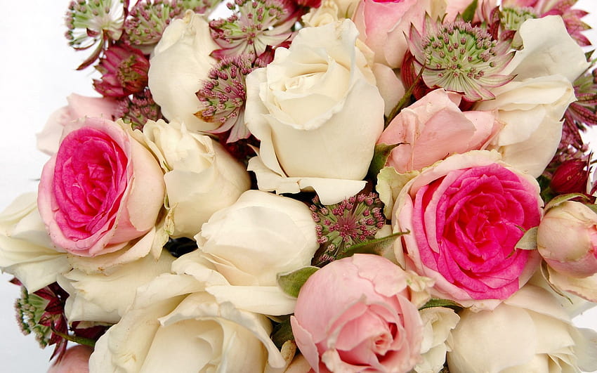 Fiori, rose, primo piano, bouquet, boccioli Sfondo HD