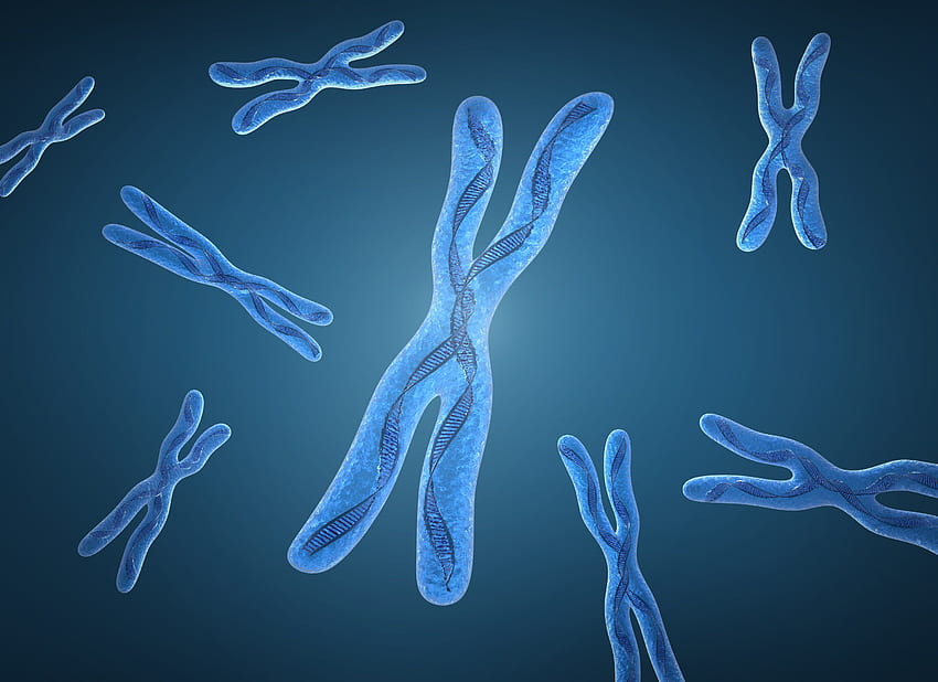 染色体。 染色体、染色体 PowerPoint の背景、染色体黒 高画質の壁紙