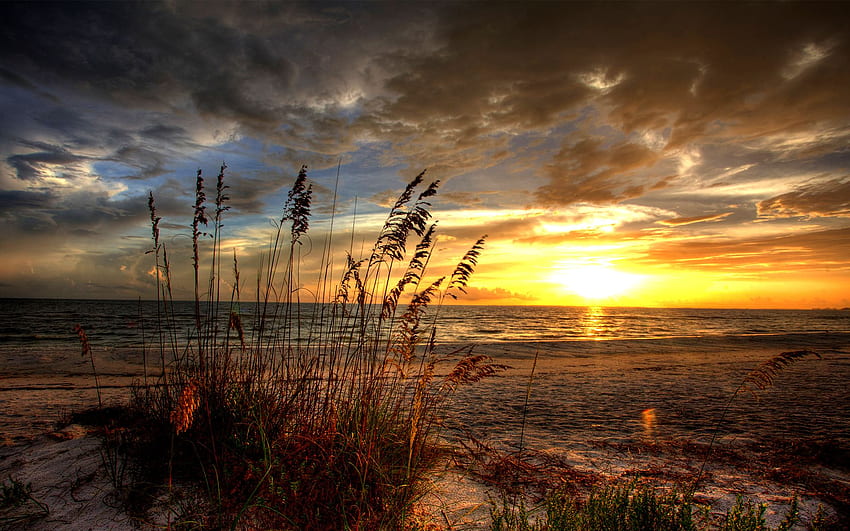 Sunrise Landscape Scenic R Ocean Beach Sand Cloud HD wallpaper