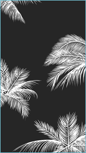 Black and White Palm Wallpaper