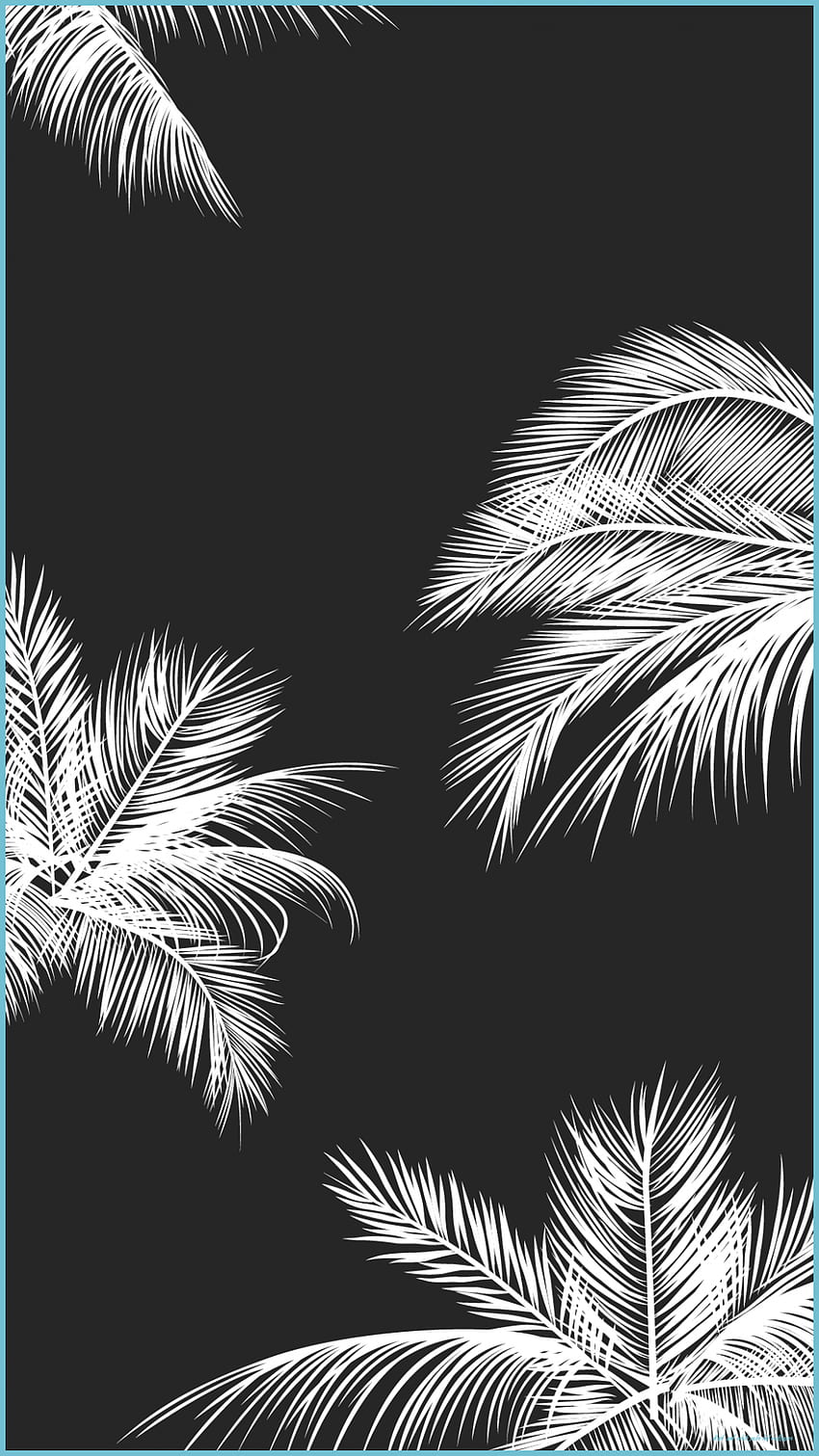 Black and white seamless vector pattern with tropical leaves of palm tree  Botany background jungle wallpaper Stock Vector Image  Art  Alamy