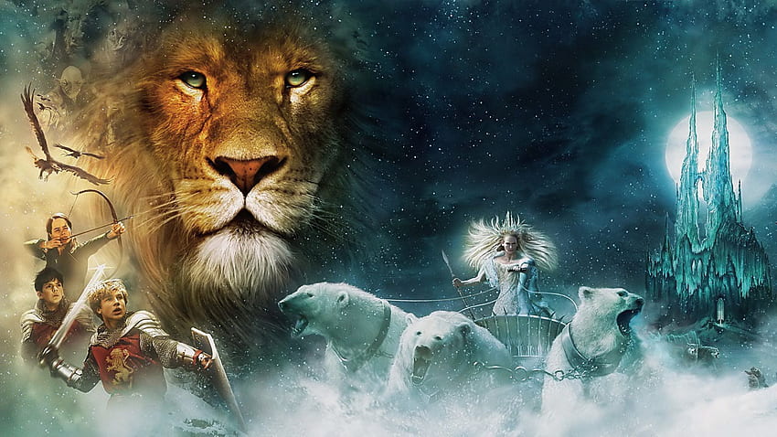 Narnia lion aslan HD wallpapers