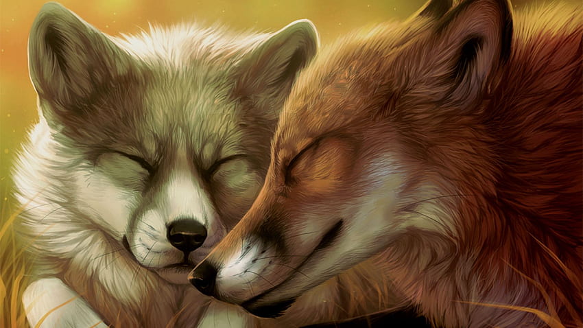 Wolf and fox  Cute wolf drawings Anime wolf drawing Furry art