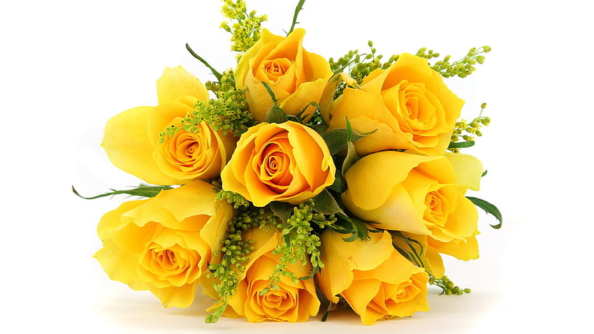 Delicate yellow rose, flowers, roses, love, yellow HD wallpaper