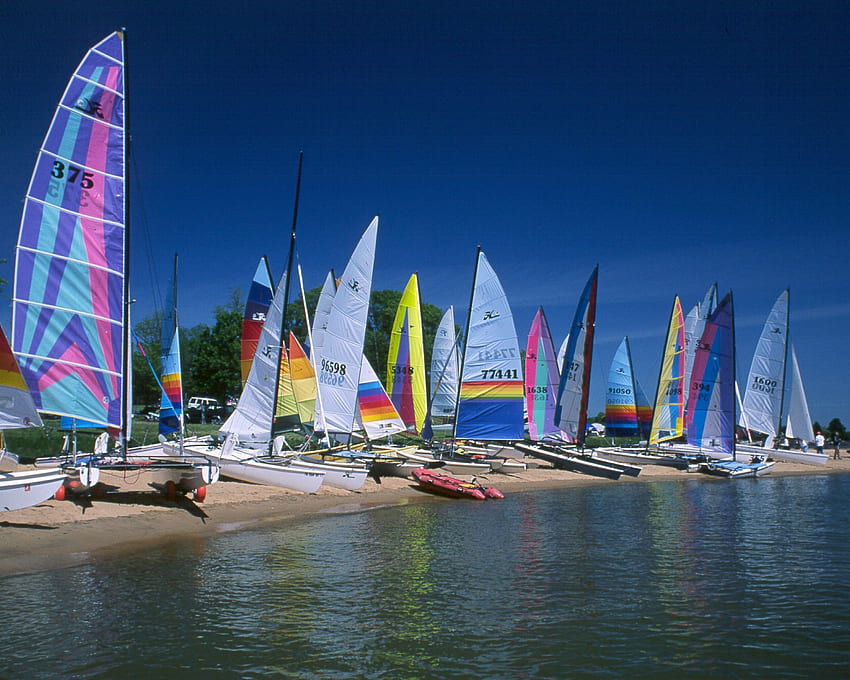 Sailboats at Gunpowder, sailboats, gathering, sails, colors, ocean HD wallpaper