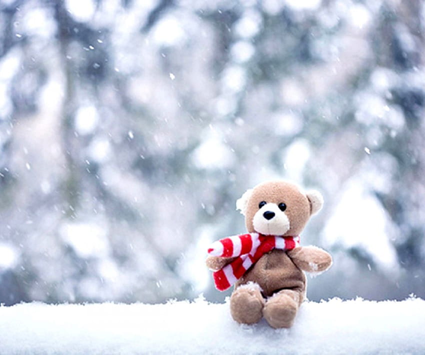 Teddy Bear . Decor di Design HD wallpaper | Pxfuel