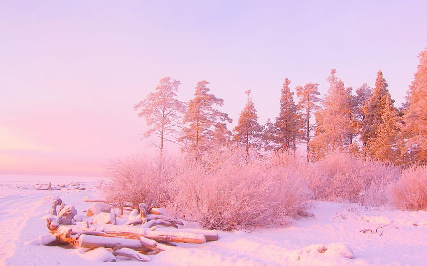 Pastellrosa Landschaft, Pastelllandschaftskunst HD-Hintergrundbild