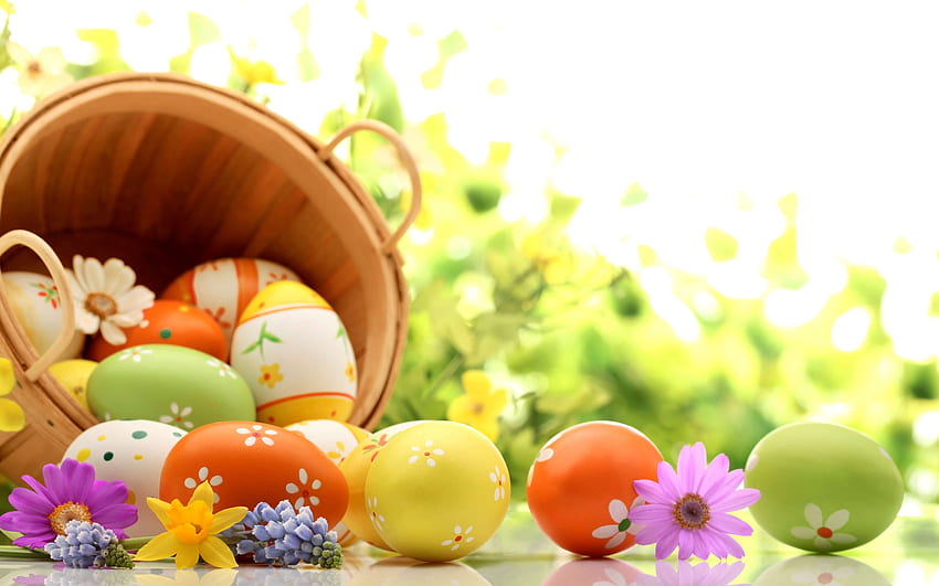 Великденски яйца в кошница, кошница, оцветени, декор, великден, яйца HD тапет