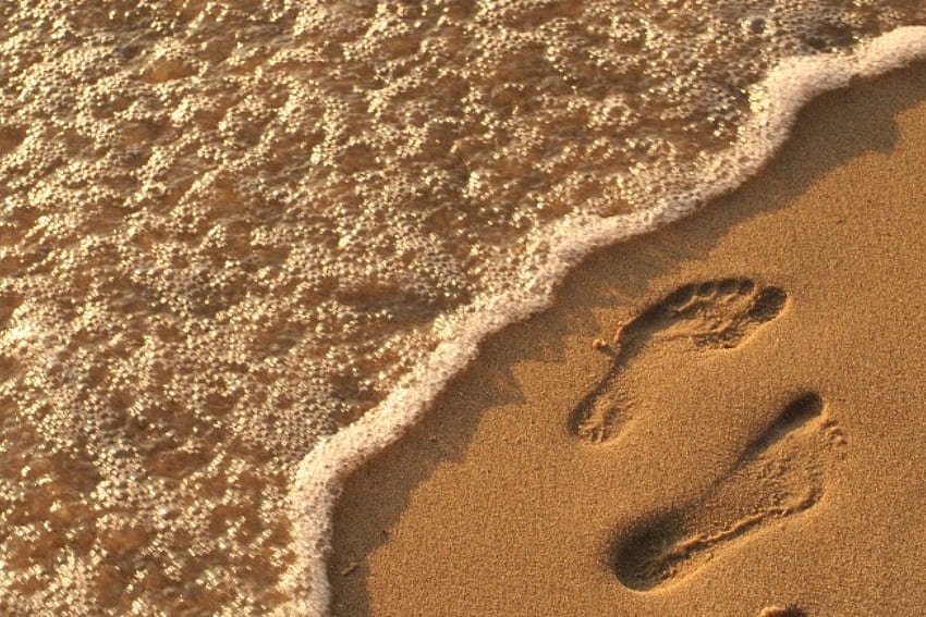 Almost Dead , shore, sand, water, footprint HD wallpaper