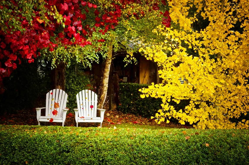 Peaceful Autumn, chairs, leaves, Fall, bushes, trees, grass, Autumn HD wallpaper