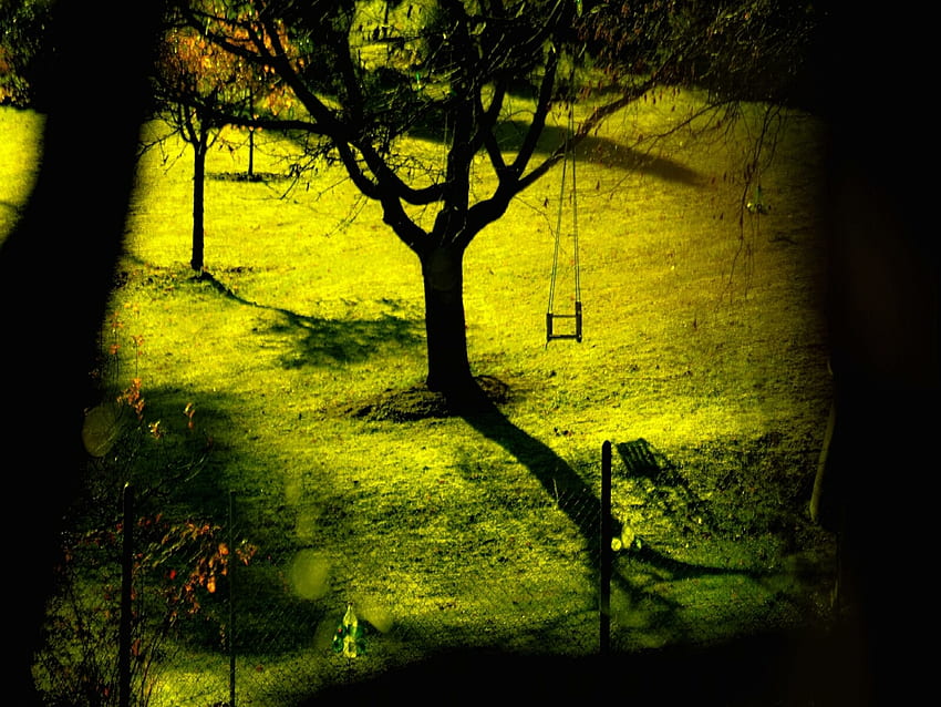 swing, trees, green HD wallpaper