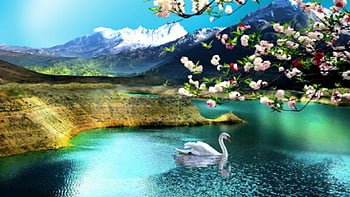 Page 3 | windows nature backgrounds HD wallpapers | Pxfuel