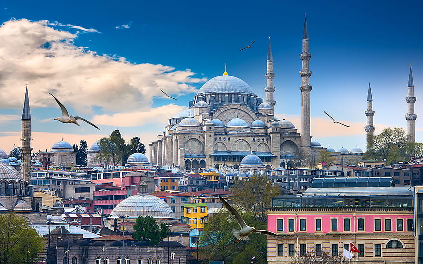 Istanbul Birds Mosque Turkey Temples Cities HD wallpaper