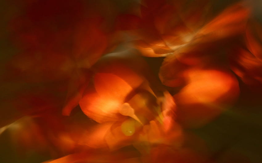 Abstract, Fire, Shine, Light, Paints, Blurred, Greased HD wallpaper
