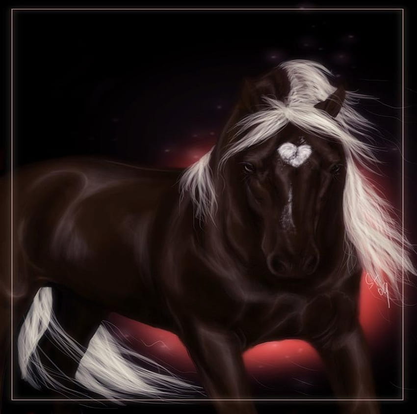 San Valentín oscuro, San Valentín, caballo fondo de pantalla