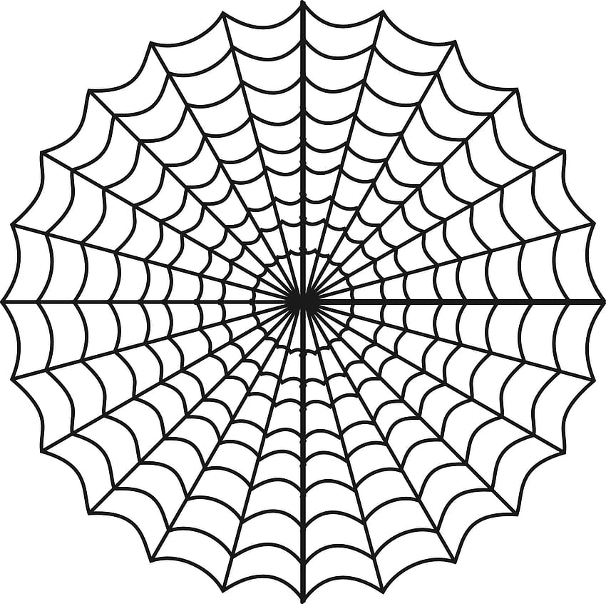 Spider Web Background, 3D Spider Web HD wallpaper