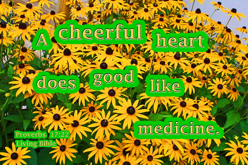 Cuore allegro come medicina, fiori di campo, fiori, piante, Bibbia Sfondo HD