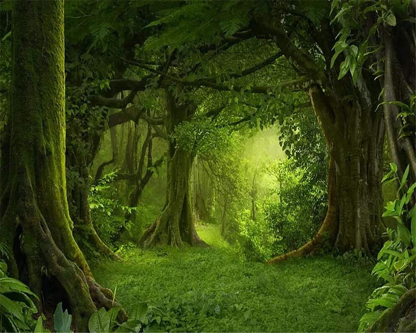 GMYANBZ Kustom Hutan Misterius Pohon Besar Rumput Pemandangan Alam Lukisan Dinding Ruang Tamu Kamar Tidur Tv Latar Belakang 3D : Rumah & Dapur Wallpaper HD