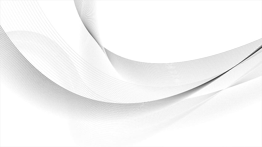Бяло, линия, черно и - Бяла абстрактна линия Png - HD тапет