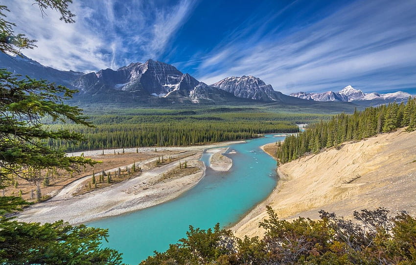 ป่า, ภูเขา, แม่น้ำ, แคนาดา, อัลเบิร์ต, อัลเบอร์ตา, แคนาดา, อุทยานแห่งชาติ Jasper, อุทยานแห่งชาติ Jasper, แม่น้ำ Athabasca, เทือกเขาร็อกกี้ของแคนาดา, เทือกเขาร็อกกี้ของแคนาดา, แม่น้ำ Athabasca สำหรับ , ส่วน пейзажи วอลล์เปเปอร์ HD