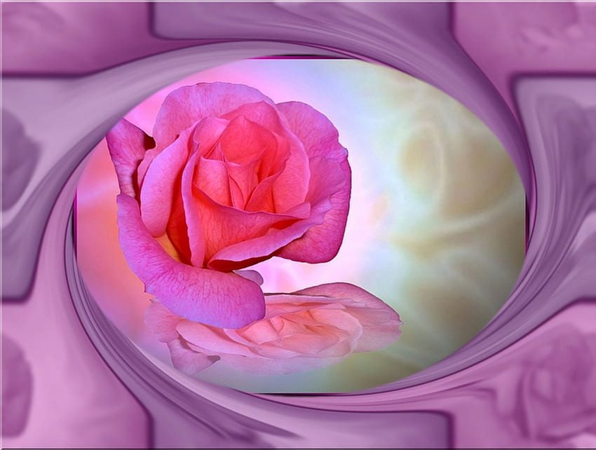 Mawar Berputar, mawar, merah muda, abstrak, berputar, fantasi, alam Wallpaper HD