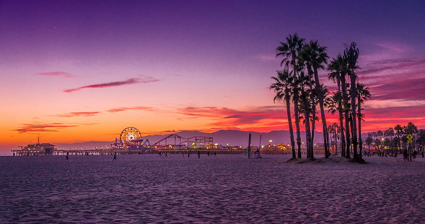 Venice Beach, venise, palmier, arbre, plage, coucher de soleil Fond d'écran HD