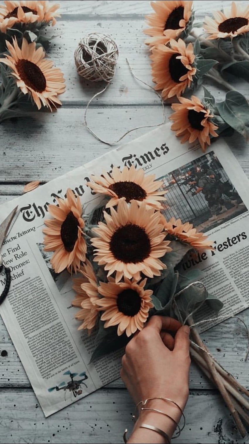 Sunflowers - I have this thing with flowers. flowers, floral, flora, fauna, arrangements, phot. Aesthetic iphone , Sunflowers tumblr, Sunflower, Floral Camera HD phone wallpaper
