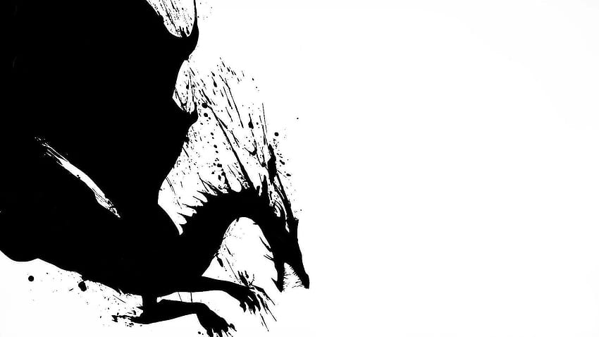Black and White Dragon, White Dragon Awesome HD wallpaper | Pxfuel
