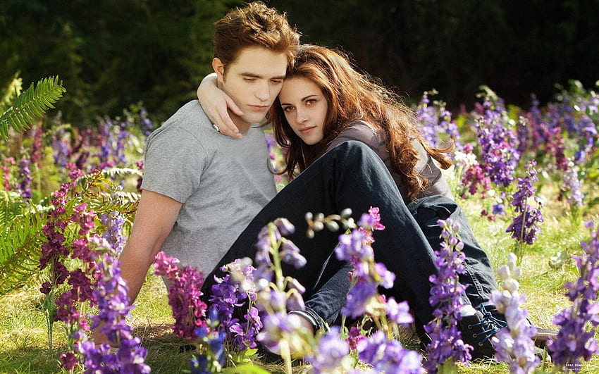 Twilight-Saga, Twilight-Film HD-Hintergrundbild