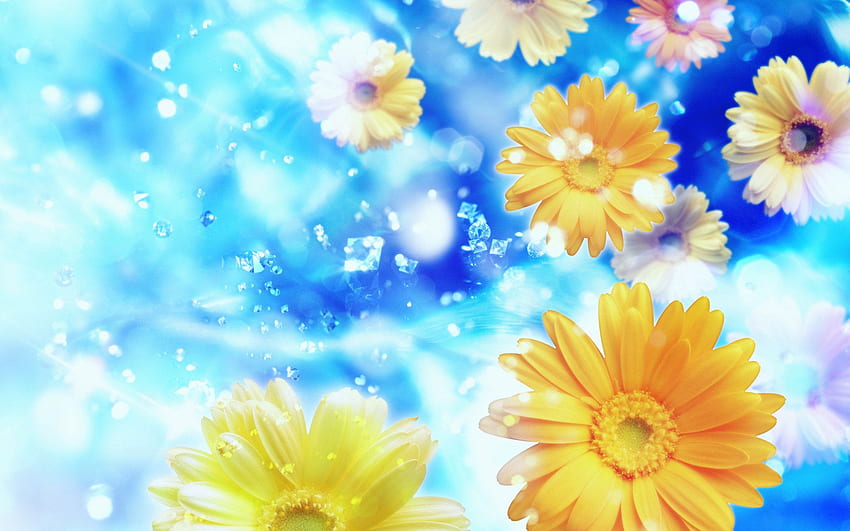 de flores 6D. Blog de Aku Iso, Flower PC fondo de pantalla