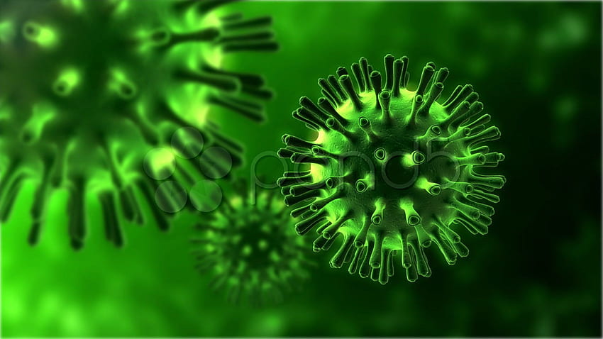 Bacteria . Electron Microscope Bacteria , Bacteria and Fungus Bacteria, 3D Virus HD wallpaper