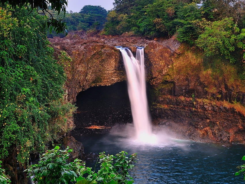 Rainbow Falls, Havaí, EUA, cai, arco-íris, árvores, cachoeira, natureza, floresta, rocha papel de parede HD