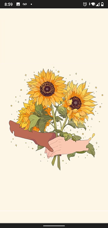 Sunflower Wallpaper Mejor fondo de pantalla Fondo de pantalla en 2019 de  Flores Girasoles  Todo fondos