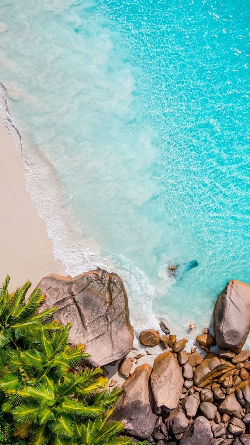 Wonderful Seychelles in 2020. Beach , Beach phone , Nature, Portrait Beach HD phone wallpaper