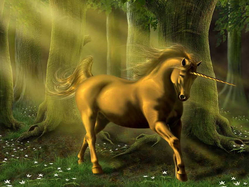 güzel tek boynuzlu at, sis, tek boynuzlu at, fantezi, güzellik HD duvar kağıdı