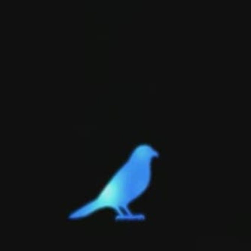 Blue Bird - Naruto - Текстове на песни и музика от null, аранжирани от SofiaLovegood в приложението Smule Social Singing HD тапет за телефон