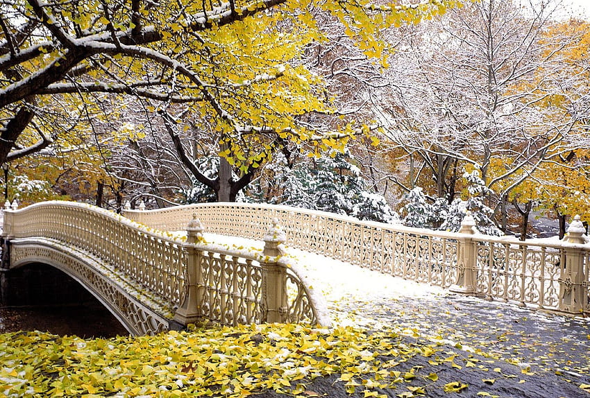Brücken: Früher Schneefall Central Park NY Herbst New York Herbst Herbst, Winter HD-Hintergrundbild