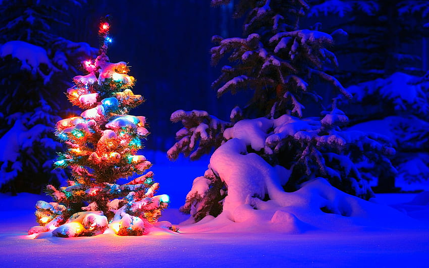 Fond de Noël, lumières d'arbre de Noël enneigées, nuit de Noël enneigée Fond d'écran HD