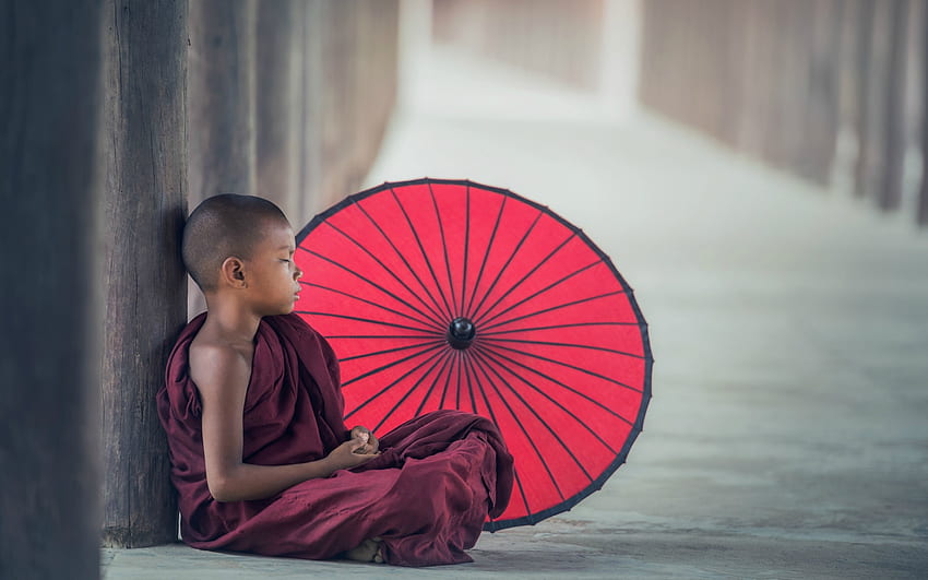 Малък монах, чадър, будизъм, момче, червено, чадър, монах, дете, копил HD тапет