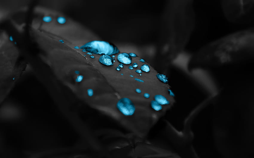 Cyan Water Drops ., Black and Cyan HD wallpaper
