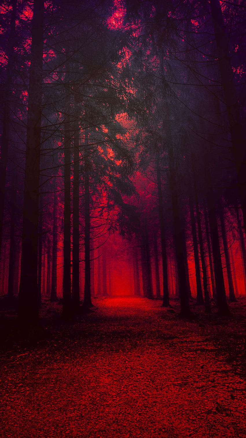 Artystyczny Czerwony Las W Rozdzielczości. ciemny , las , ciemnoczerwony , czerwona dżungla Tapeta na telefon HD