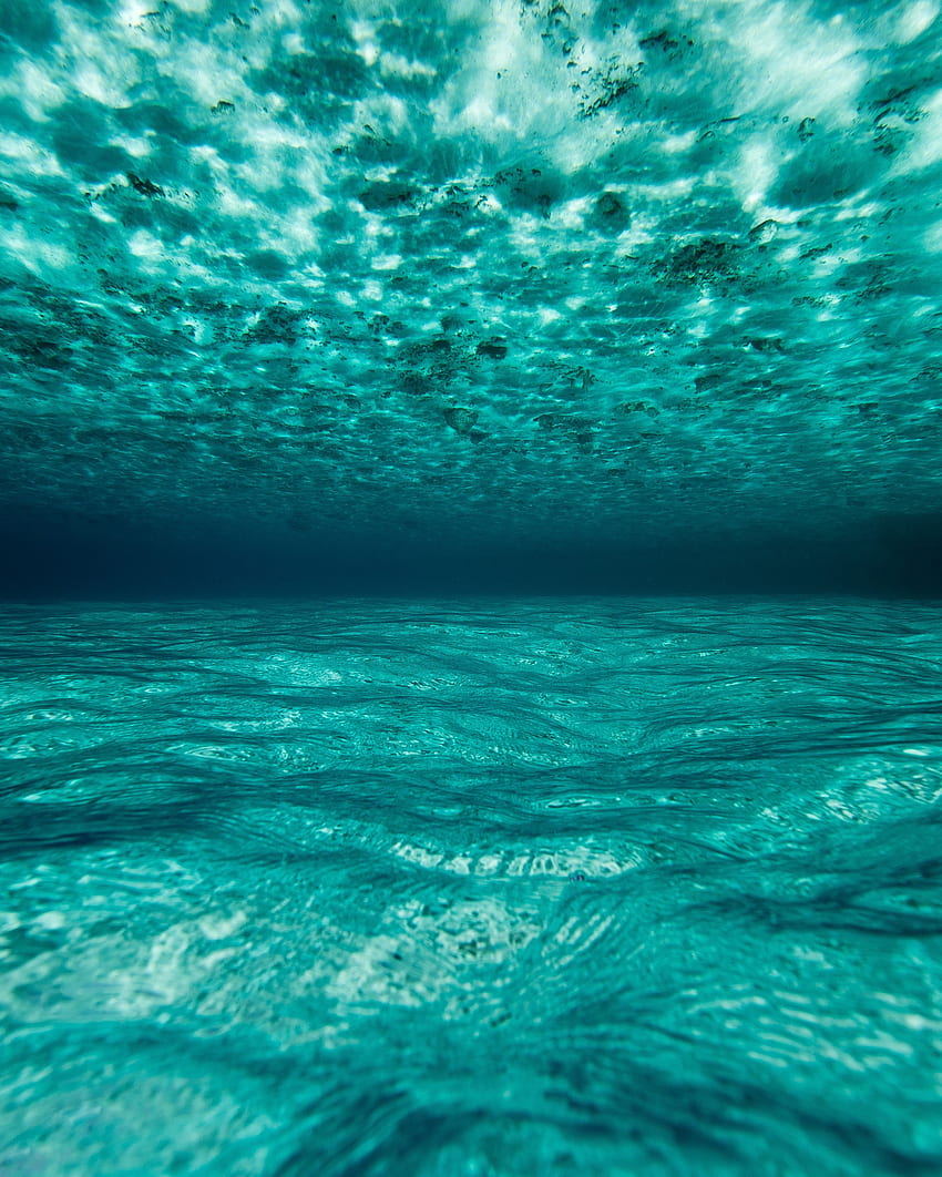 Nature, Water, Ocean, Underwater, Submarine, Maldives HD phone wallpaper